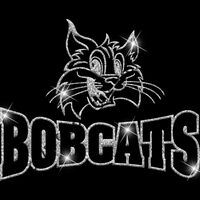 GLT32 SILVER GLITTER Thumbnail