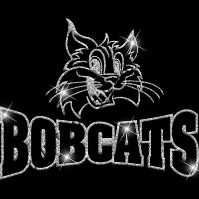 GLT32 SILVER GLITTER Thumbnail