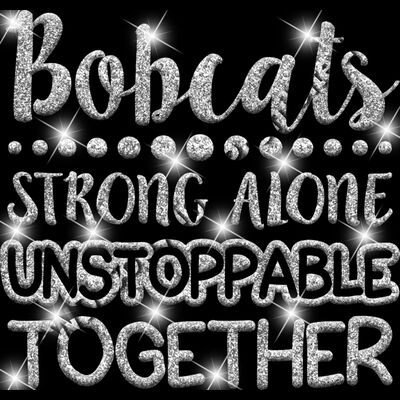 GLT87 SILVER GLITTER Thumbnail