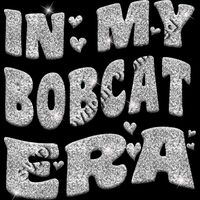 GLT93 SILVER GLITTER Thumbnail